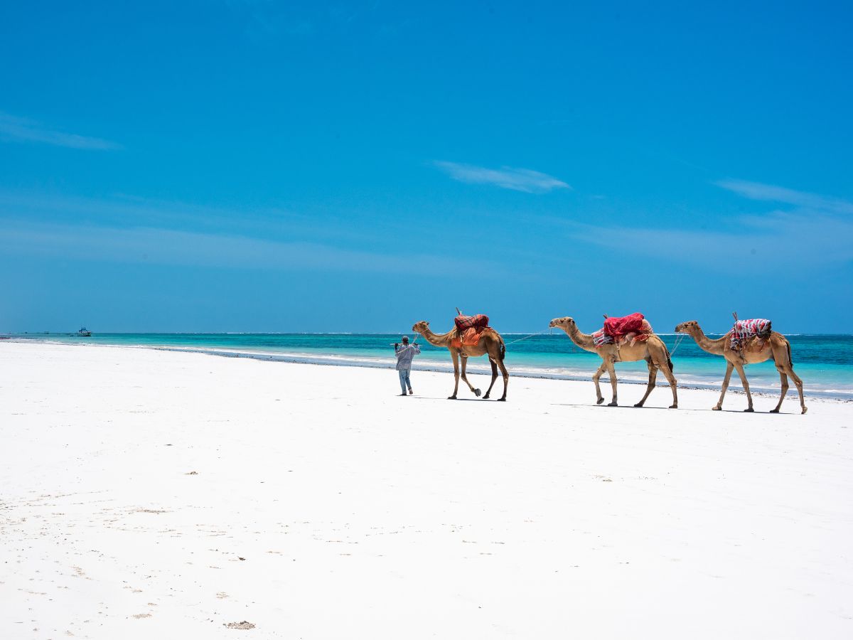 Отдых на пляжах Момбасы